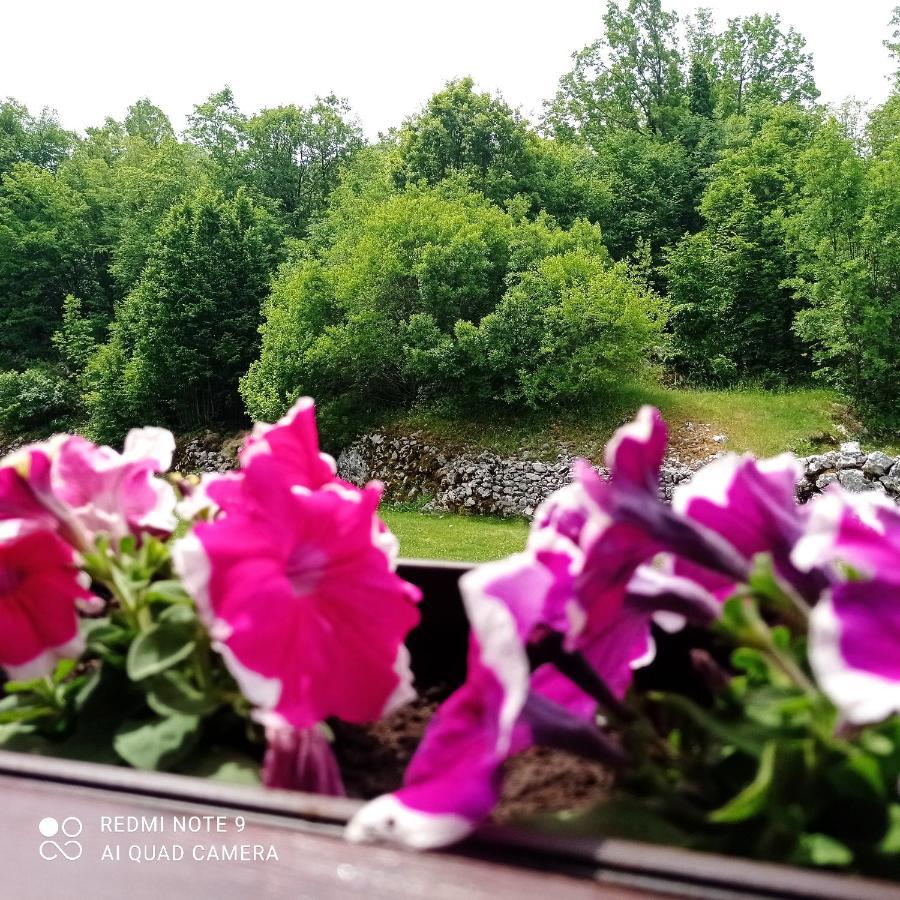 Vikendica Njegusi Villa Cetinje Dış mekan fotoğraf