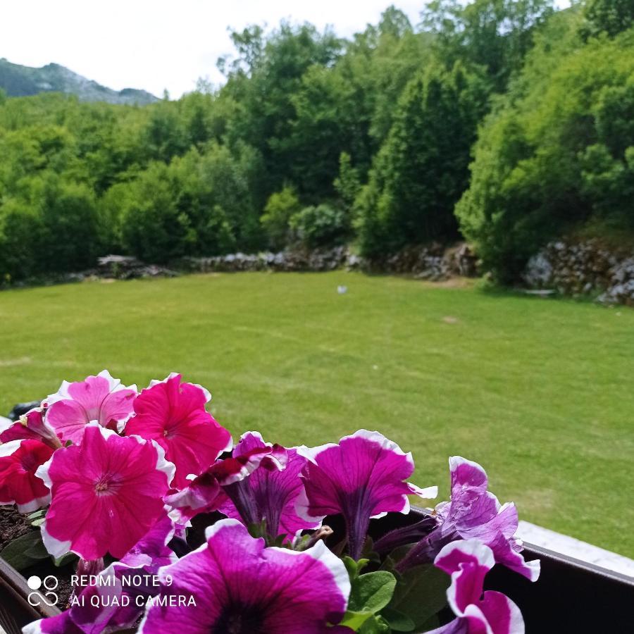 Vikendica Njegusi Villa Cetinje Dış mekan fotoğraf